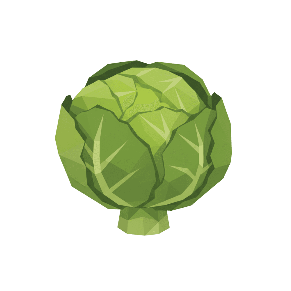 Lechuga